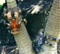 /album/els-animals-2n-eso/crac-cocoter-jpg1/